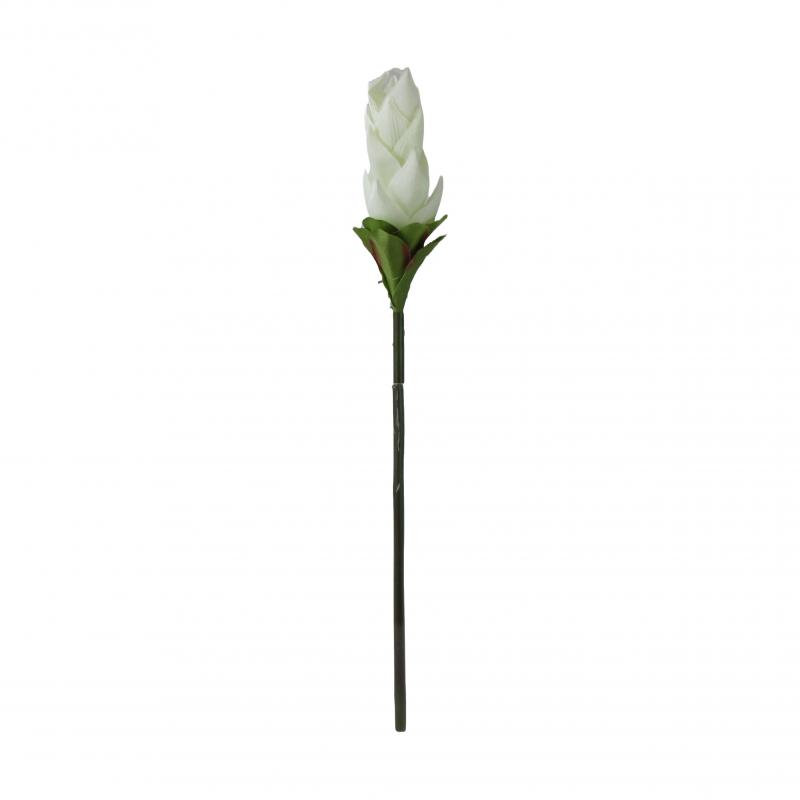 Kurkuma sztuczna 50cm